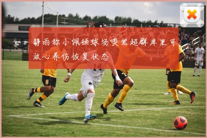 静雨称小佩顿球场嗅觉超群库里可放心养伤恢复状态