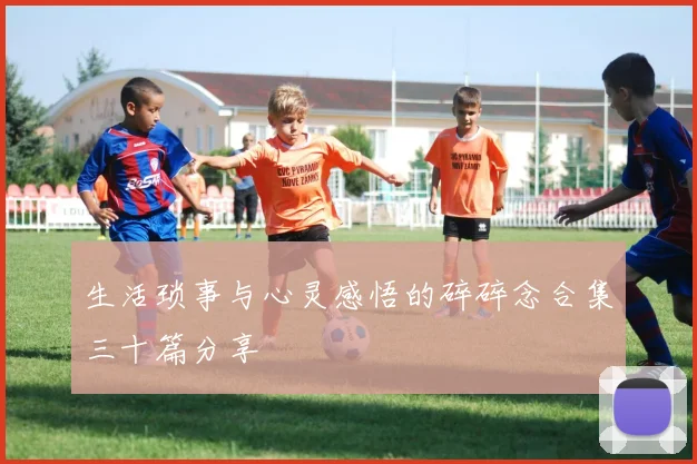 生活琐事与心灵感悟的碎碎念合集三十篇分享